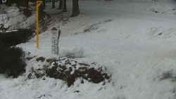 Běžecký lyžařský areál Nová Ves - horní část