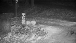 Běžecký lyžařský areál Nová Ves - horní část