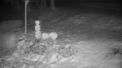 Běžecký lyžařský areál Nová Ves - horní část