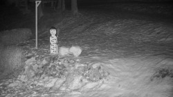 Běžecký lyžařský areál Nová Ves - horní část