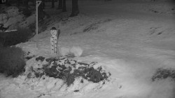 Běžecký lyžařský areál Nová Ves - horní část