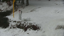 Běžecký lyžařský areál Nová Ves - horní část