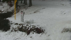 Běžecký lyžařský areál Nová Ves - horní část