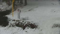 Běžecký lyžařský areál Nová Ves - horní část