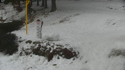 Běžecký lyžařský areál Nová Ves - horní část