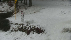 Běžecký lyžařský areál Nová Ves - horní část