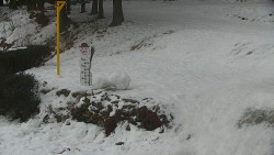 Běžecký lyžařský areál Nová Ves - horní část