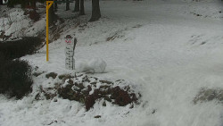 Běžecký lyžařský areál Nová Ves - horní část