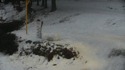 Běžecký lyžařský areál Nová Ves - horní část