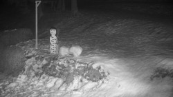 Běžecký lyžařský areál Nová Ves - horní část