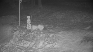 Chata Myslivna SKP Olomouc - Běžecký lyžařský areál Nová Ves - horní část - 29.1.2026 v 01:30 Chata Myslivna SKP Olomouc - Běžecký lyžařský areál Nová Ves - horní část - 29.1.2026 v 01:30