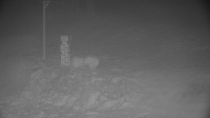 Chata Myslivna SKP Olomouc - Běžecký lyžařský areál Nová Ves - horní část - 29.1.2026 v 02:30 Chata Myslivna SKP Olomouc - Běžecký lyžařský areál Nová Ves - horní část - 29.1.2026 v 02:30