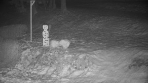 Chata Myslivna SKP Olomouc - Běžecký lyžařský areál Nová Ves - horní část - 29.1.2026 v 04:30 Chata Myslivna SKP Olomouc - Běžecký lyžařský areál Nová Ves - horní část - 29.1.2026 v 04:30