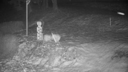 Běžecký lyžařský areál Nová Ves - horní část