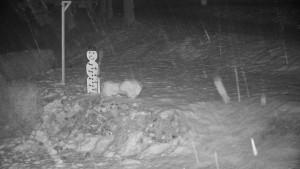 Chata Myslivna SKP Olomouc - Běžecký lyžařský areál Nová Ves - horní část - 29.1.2026 v 05:30 Chata Myslivna SKP Olomouc - Běžecký lyžařský areál Nová Ves - horní část - 29.1.2026 v 05:30