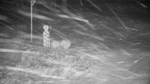 Chata Myslivna SKP Olomouc - Běžecký lyžařský areál Nová Ves - horní část - 29.1.2026 v 06:00 Chata Myslivna SKP Olomouc - Běžecký lyžařský areál Nová Ves - horní část - 29.1.2026 v 06:00