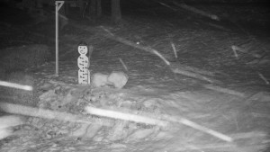 Chata Myslivna SKP Olomouc - Běžecký lyžařský areál Nová Ves - horní část - 29.1.2026 v 06:30 Chata Myslivna SKP Olomouc - Běžecký lyžařský areál Nová Ves - horní část - 29.1.2026 v 06:30