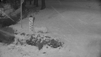 Chata Myslivna SKP Olomouc