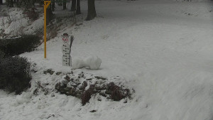 Chata Myslivna SKP Olomouc - Běžecký lyžařský areál Nová Ves - horní část - 29.1.2026 v 07:30 Chata Myslivna SKP Olomouc - Běžecký lyžařský areál Nová Ves - horní část - 29.1.2026 v 07:30