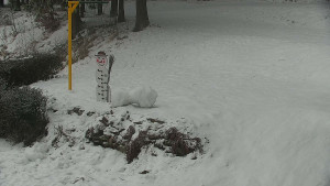 Chata Myslivna SKP Olomouc - Běžecký lyžařský areál Nová Ves - horní část - 29.1.2026 v 08:00 Chata Myslivna SKP Olomouc - Běžecký lyžařský areál Nová Ves - horní část - 29.1.2026 v 08:00