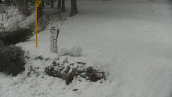 Běžecký lyžařský areál Nová Ves - horní část