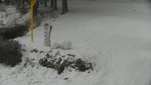 Chata Myslivna SKP Olomouc - Běžecký lyžařský areál Nová Ves - horní část - 29.1.2026 v 09:00 Chata Myslivna SKP Olomouc - Běžecký lyžařský areál Nová Ves - horní část - 29.1.2026 v 09:00