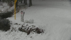 Běžecký lyžařský areál Nová Ves - horní část