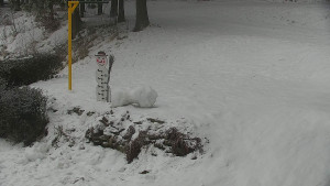 Chata Myslivna SKP Olomouc - Běžecký lyžařský areál Nová Ves - horní část - 29.1.2026 v 09:30 Chata Myslivna SKP Olomouc - Běžecký lyžařský areál Nová Ves - horní část - 29.1.2026 v 09:30