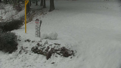 Běžecký lyžařský areál Nová Ves - horní část