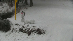 Běžecký lyžařský areál Nová Ves - horní část