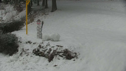 Běžecký lyžařský areál Nová Ves - horní část