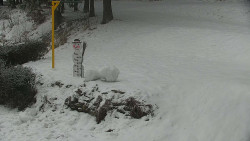 Běžecký lyžařský areál Nová Ves - horní část