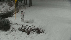 Běžecký lyžařský areál Nová Ves - horní část