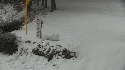 Běžecký lyžařský areál Nová Ves - horní část