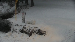 Běžecký lyžařský areál Nová Ves - horní část