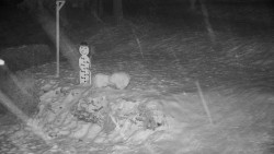 Běžecký lyžařský areál Nová Ves - horní část