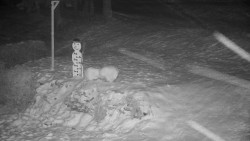 Běžecký lyžařský areál Nová Ves - horní část