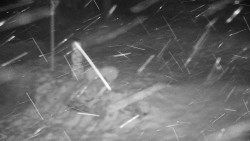 Běžecký lyžařský areál Nová Ves - horní část