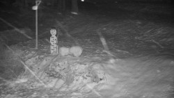 Běžecký lyžařský areál Nová Ves - horní část