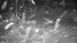 Běžecký lyžařský areál Nová Ves - horní část