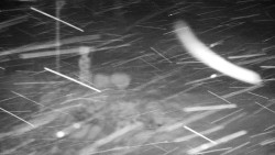 Běžecký lyžařský areál Nová Ves - horní část