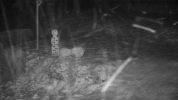 Běžecký lyžařský areál Nová Ves - horní část