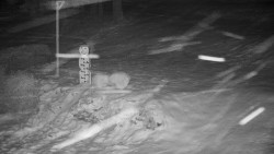 Běžecký lyžařský areál Nová Ves - horní část