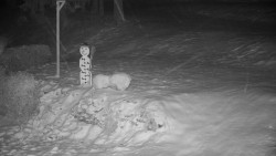 Běžecký lyžařský areál Nová Ves - horní část