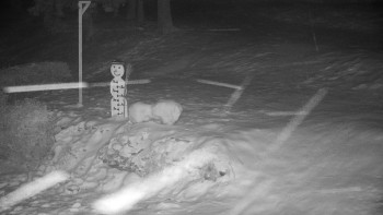 Chata Myslivna SKP Olomouc