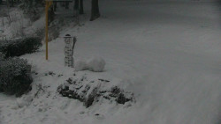 Běžecký lyžařský areál Nová Ves - horní část