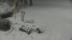 Běžecký lyžařský areál Nová Ves - horní část