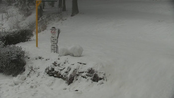 Chata Myslivna SKP Olomouc