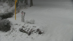 Běžecký lyžařský areál Nová Ves - horní část