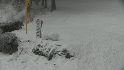 Běžecký lyžařský areál Nová Ves - horní část
